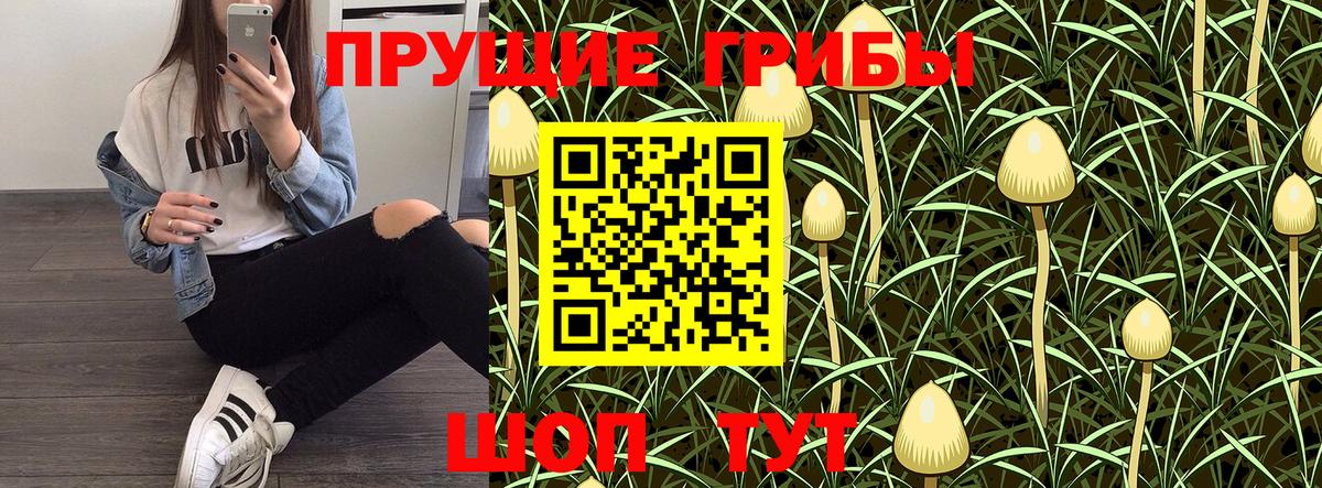 Галлюциногенные грибы GOLDEN TEACHER Тихвин